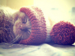 Метеорологи сообщают об очередном потеплении и усилении ветра на Кубани