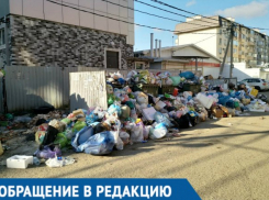  В горе мусора рядом с домами краснодарцев поселились крысы 