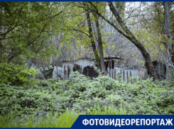 «Я чиновник и силовик-многоженец»: о жизни бездомного «Бороды» на краснодарской «Рублёвке»
