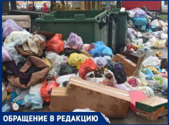 Возле пустых баков в Краснодаре выросли кучи мусора