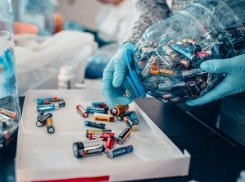 В Краснодаре собрали более 500 кг опасных отходов 