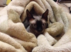 Синоптики прогнозируют на Кубани понижение температуры