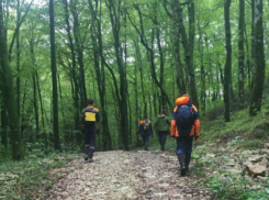 Спасатели Сочи вытащили из леса мотоциклиста со сломанной ногой