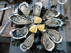 На Кубани выделят 420 га в Черном море для выращивания мидий и устриц 