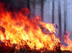 К пожарам, потопам и клещам готовится Краснодарский край