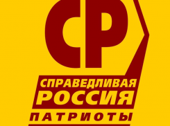 Родная Кубань: 10 шагов к справедливости 