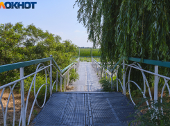 Главное в Краснодаре сегодня, 14 июля: найденный ребенок, долгая дорога к морю, купленный чиновником диплом и мелкий хулиган 