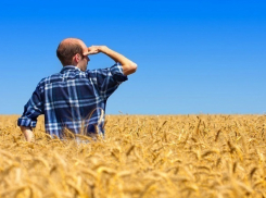 Фермеры Кубани получат гранты на поддержку кооперативов