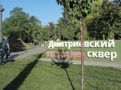 Краснодарский край занял первое место в экологическом рейтинге в ЮФО