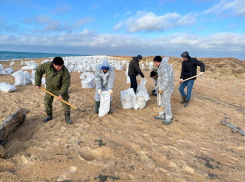 Свыше 70 тысяч тонн загрязненного грунта собрано на Черноморском побережье 