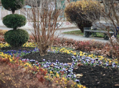 В Краснодаре синоптики обещают дождь и +11 градусов