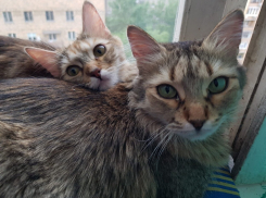 Небольшой дождь доберется до Краснодара