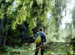 На Кубани наркоман гулял по лесу с пакетиком, пока его не поймали