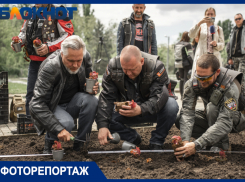 «Перемен требуют наши сердца»: «Ночные волки» высадили цветы на кладбище Краснодара вместо их возложения