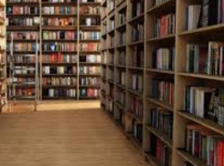 Научат коллег со всего мира учителя Краснодарского края