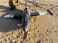 Беспилотник, найденный в Анапе, мог участвовать в учениях Североатлантического альянса и Украины 