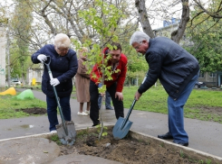 В Краснодаре Владимир Евланов посадил деревья на Всекубанском субботнике