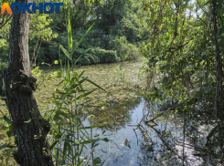 В пятницу в Краснодаре ожидается жаркая ветреная погода