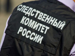  На чайной фабрике в Сочи мужчина рухнул с вышки и разбился 