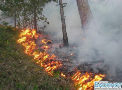 В районе Геленджика произошло возгорание лесной подстилки