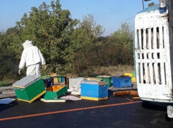«Свободу пчелам»: грузовик с ульями перевернулся под Горячим Ключом