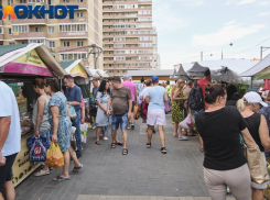 В Краснодарском крае средняя зарплата составила 52 481 рубль 