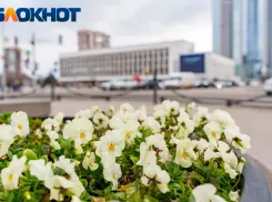 Концерты, танцы и мастер-классы: куда сходить в Краснодаре 3 и 4 июня