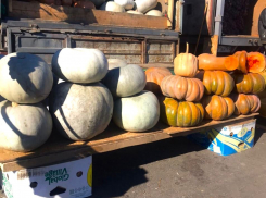 Торговый комплекс «Южный» приглашает на осеннюю постоянно действующую ярмарку