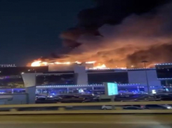 После стрельбы в Подмосковье в Краснодаре потребовали жестче наказать террористов