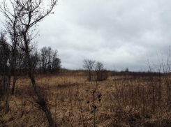 Замерзший труп женщины нашли на Кубани