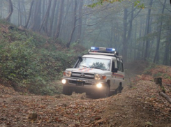  Грибники нашли в Сочи мужчину, упавшего со склона