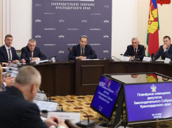В Краснодарском крае с начала года вовлекли в оборот 174 участка сельхозназначения