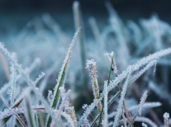 Экстренное предупреждение по заморозкам объявлено на Кубани