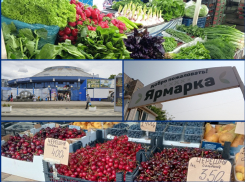 Сенной рынок против ярмарки на окраине: где ниже цены на фрукты и овощи в Краснодаре