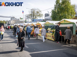 Путина попросили спасти неугодную мэру ярмарку выходного дня в центре Краснодара