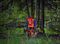 Разыскиваемую женщину-риэлтора нашли мертвой в Краснодаре