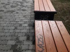  Нет слов, стыд: краснодарцы отозвались о вандалах, которые начали портить новую аллею в Юбилейном 