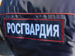Попавших под обстрел бойцов Росгвардии в Краснодаре поощрят 
