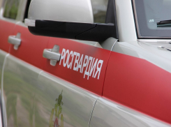 В Краснодаре обнаружили молодую женщину, пропавшую в Ставрополе месяц назад