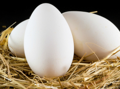 Роспотребнадзор предупредил кубанцев об опасных яйцах