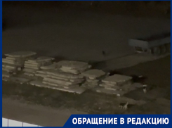 Бездомные собаки каждую ночь лают под окнами жителей Плодородного 