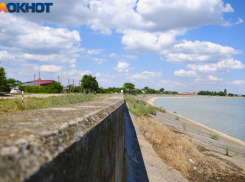 В хуторе Ленина уже несколько дней лежит раненая чайка