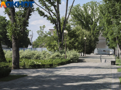 Краснодарские знаменитости в деле: Симоньян готова отдать квартиру, Галицкий - возрождать «Аврору», а Лепс берет больше других 