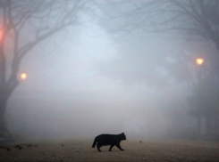 Погода укроет Краснодар теплыми туманами