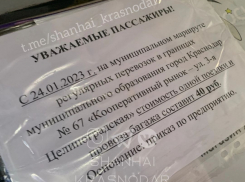 В Краснодаре повысили проезд в гортранспорте до 40 рублей