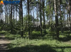 В Краснодарском крае Роспотребнадзор напомнил об активизации клещей и способах защиты от них
