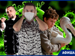 Баста, Звягинцев и биг-бенд Гараняна: куда сходить в Краснодаре