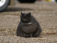 В Краснодаре на праздники объявили штормовое предупреждение 
