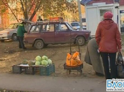 Кубанским дачникам предложили перейти на рынок