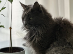 Поверхности покроются льдом в Краснодарском крае